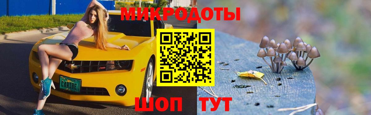 Галлюциногенные грибы мухоморы  Вход с VPN  Псилоцибиновые грибы мицелий  Кохма 